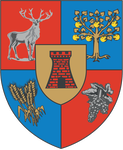 Satu Mare County